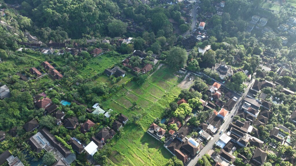 Ubud Dream
